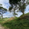 Muak Lek