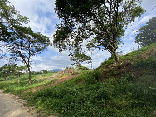 Muak Lek